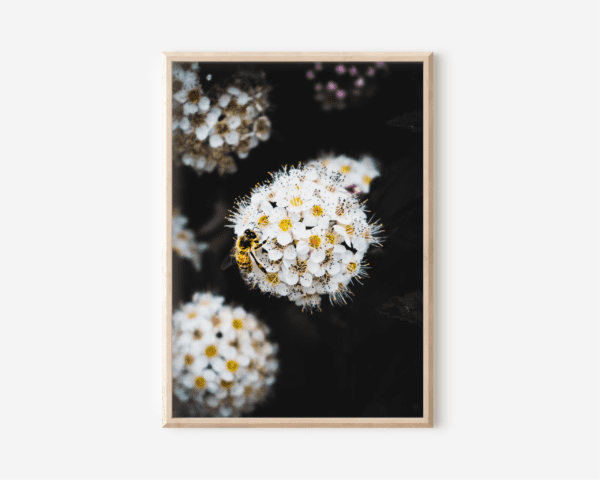 Bee Happy